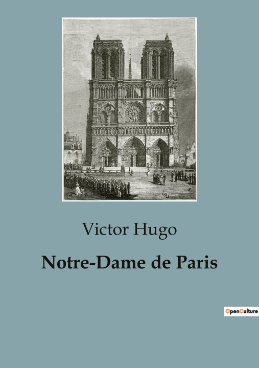 Книга Notre-Dame de Paris 