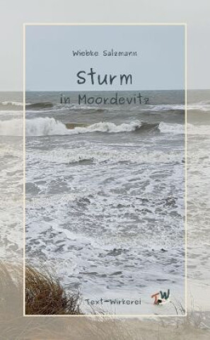 Kniha Sturm in Moordevitz Wiebke Salzmann