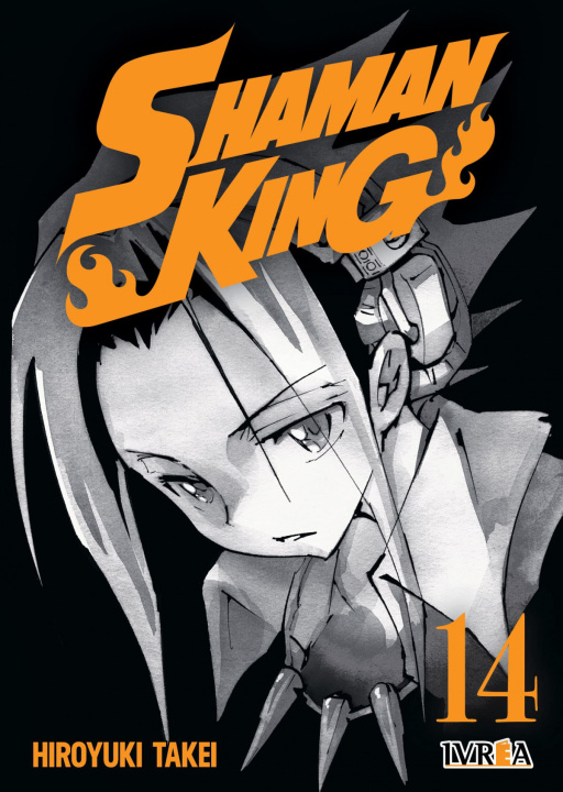 Könyv SHAMAN KING 14 Hiroyuki Takei