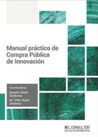 Kniha MANUAL PRACTICO DE COMPRA PUBLICA DE INNOVACION 