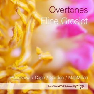 Audio Overtones 