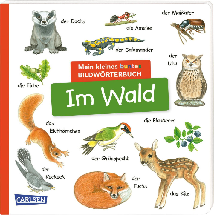 Livre Mein kleines buntes Bildwörterbuch: Im Wald Christine Henkel