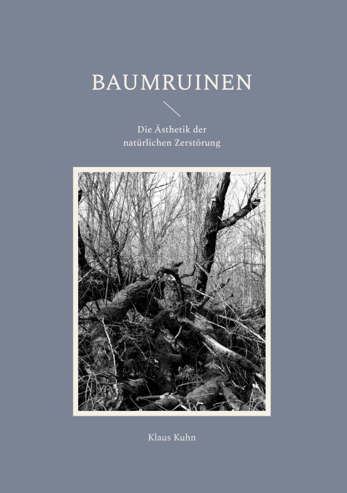 Knjiga Baumruinen 