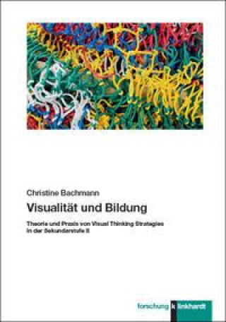 Kniha Visualität und Bildung Christine Bachmann