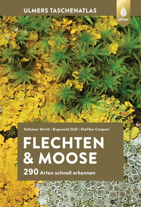 Kniha Flechten und Moose Ruprecht Düll