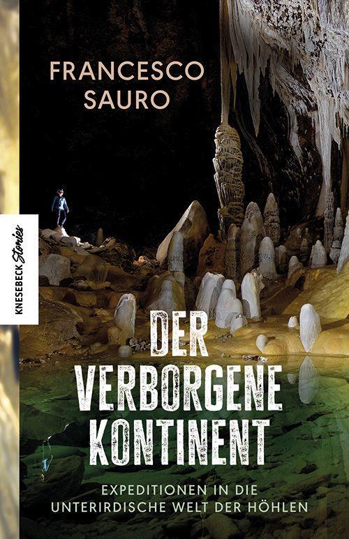 Buch Der verborgene Kontinent Ingrid Ickler