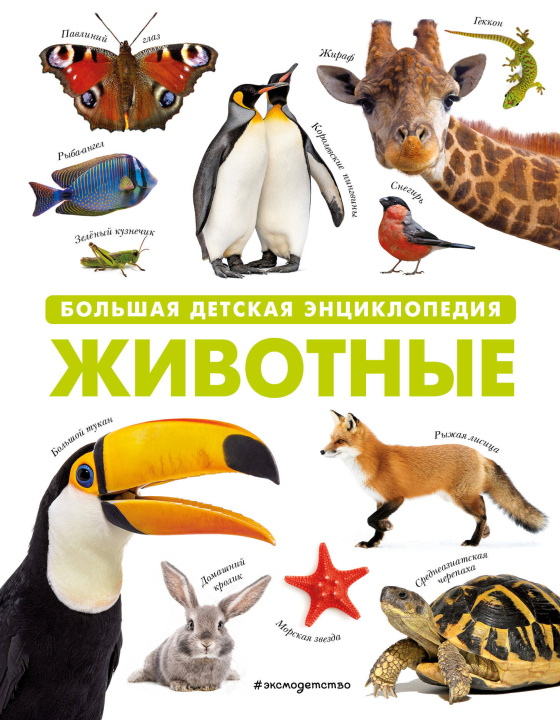 Könyv Животные. Большая детская энциклопедия 
