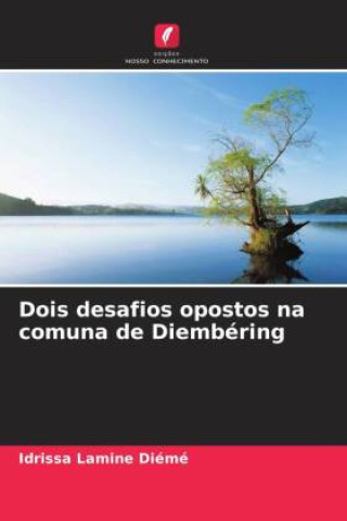 Knjiga Dois desafios opostos na comuna de Diembéring Idrissa Lamine Diémé