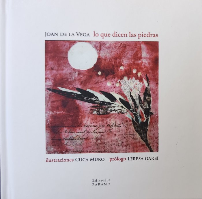 Boek Lo que dicen las piedras de la Vega