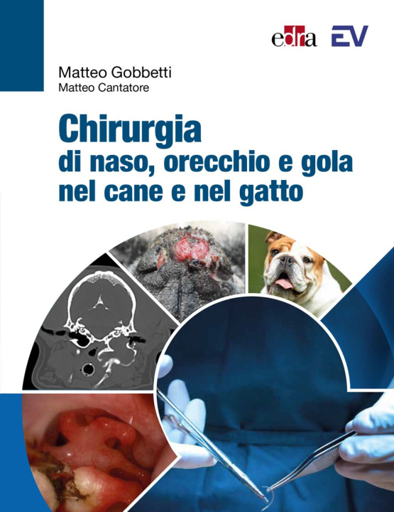 Kniha Chirurgia di naso, orecchio e gola nel cane e nel gatto Matteo Gobbetti