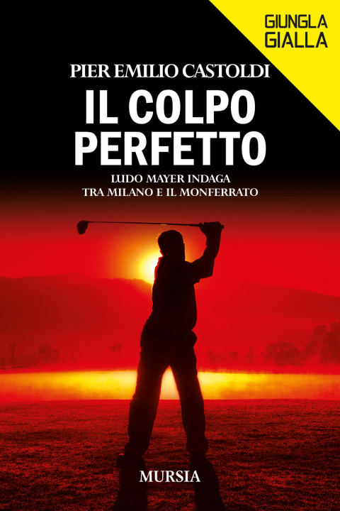 Kniha colpo perfetto. Ludo Mayer indaga tra Milano e il Monferrato Pier Emilio Castoldi