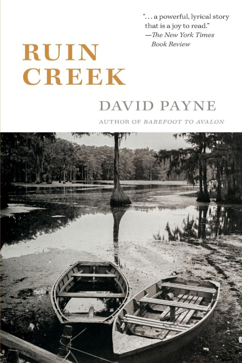 Buch Ruin Creek David Payne