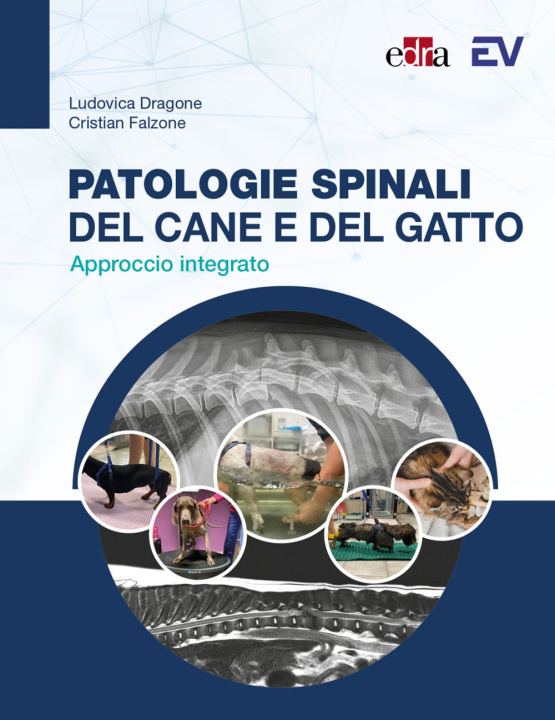 Carte Patologie spinali del cane e del gatto. Approccio integrato Cristian Falzone