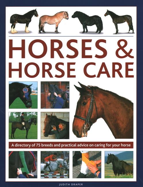 Kniha Horses & Horse Care Judith Draper