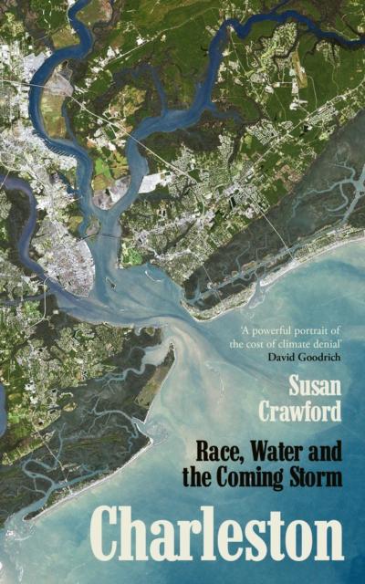 Boek Charleston Susan Crawford