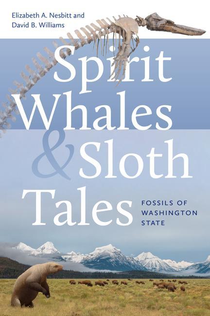 Könyv Spirit Whales and Sloth Tales: Fossils of Washington State David B. Williams