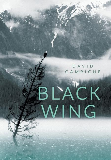 Boek Black Wing David Campiche