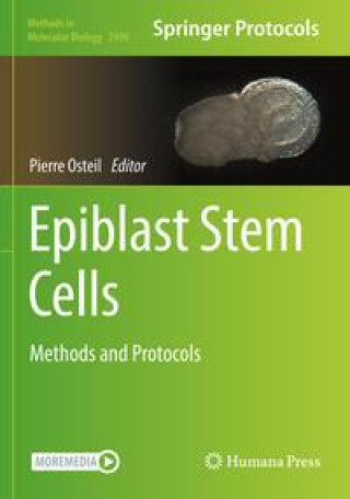 Knjiga Epiblast Stem Cells: Methods and Protocols Pierre Osteil