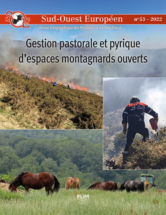 Knjiga Gestion pastorale et pyrique d’espaces montagnards ouverts 