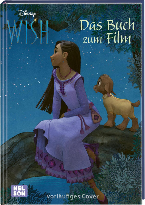 Könyv Disney: Wish - Das Buch zum Film 