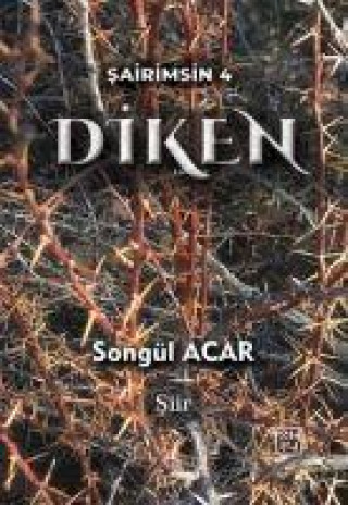 Knjiga Diken 