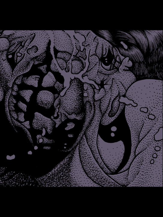 Boek Manga Guillaume SOULATGES