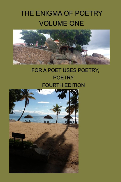 Kniha The Enigma Of Poetry-- Volume One 
