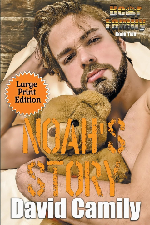 Knjiga Noah's Story David Camily