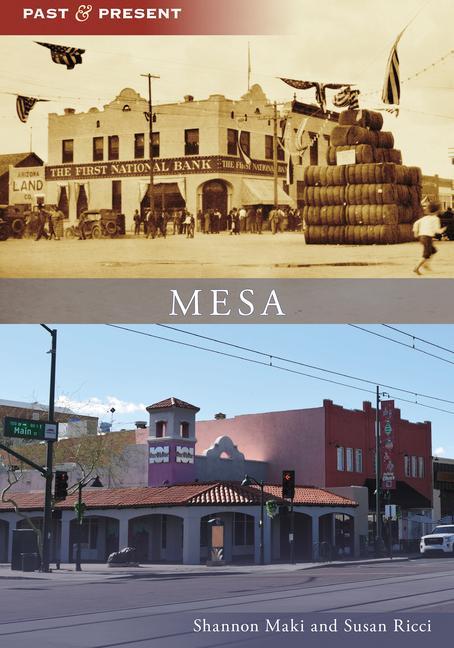 Knjiga Mesa Shannon Maki