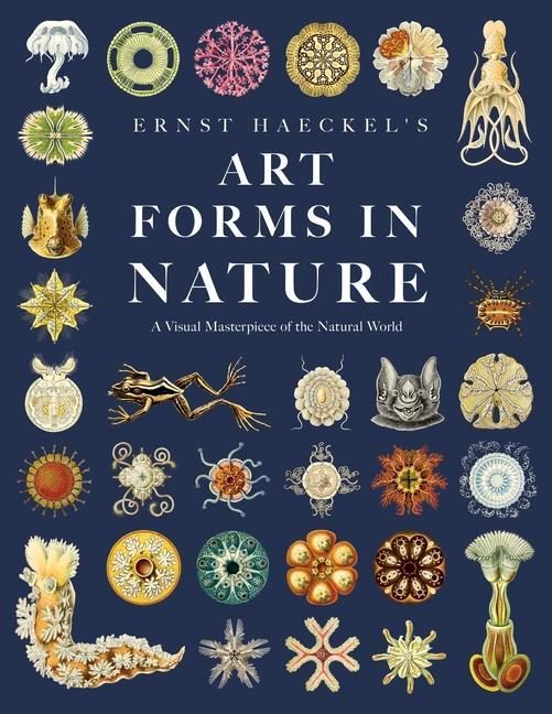 Book Ernst Haeckel's Art Forms in Nature: A Visual Masterpiece of the Natural World Adolf Glitsch