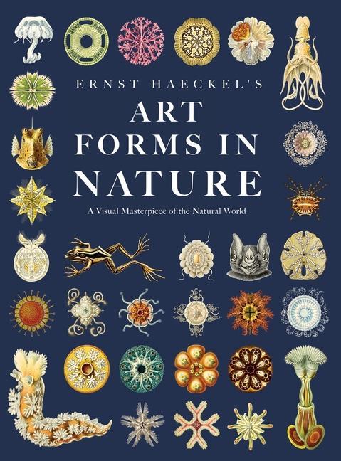 Carte Ernst Haeckel's Art Forms in Nature: A Visual Masterpiece of the Natural World Adolf Glitsch