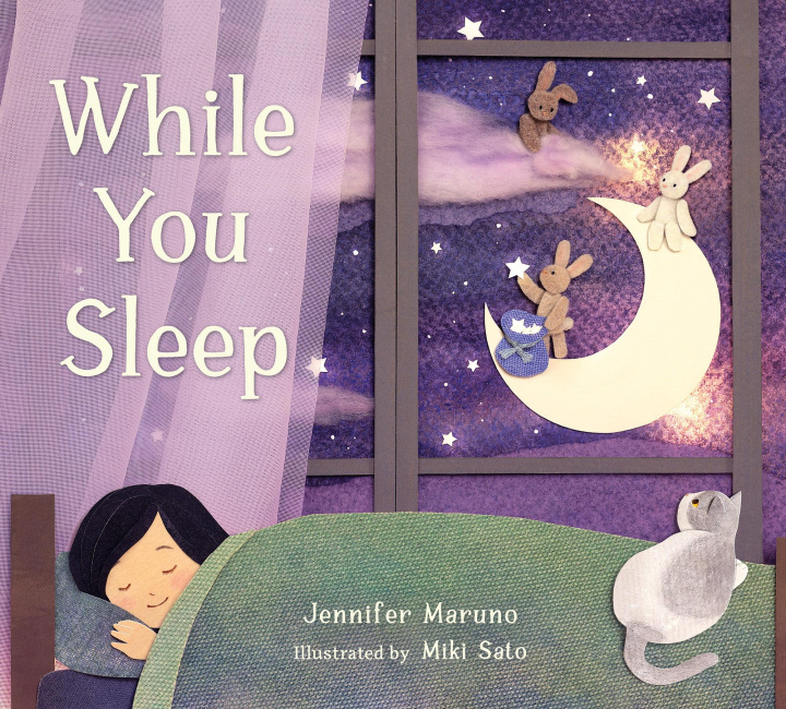 Knjiga While You Sleep Miki Sato