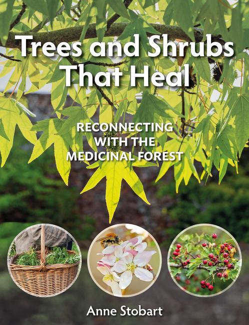 Carte Trees and Shrubs That Heal: Reconnecting with the Medicinal Forest 