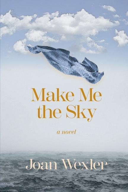 Knjiga Make Me the Sky Joan Wexler