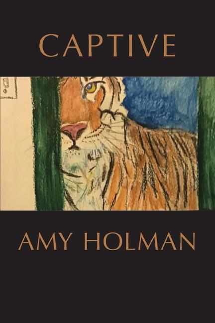 Knjiga Captive Amy Holman