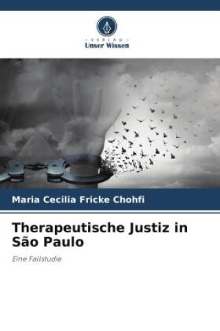 Knjiga Therapeutische Justiz in S?o Paulo Maria Cecilia Fricke Chohfi