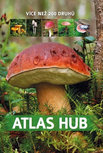 Kniha Atlas hub Patrycja Zarawska