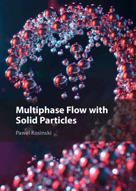 Knjiga Multiphase Flow with Solid Particles Pawel Kosinski