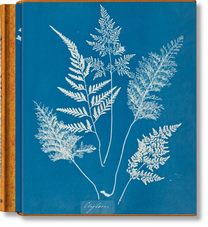 Книга Anna Atkins. Cyanotypes Peter Walther