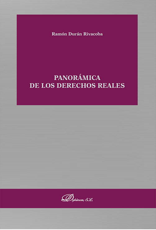 Kniha PANORAMICA DE LOS DERECHOS REALES DURAN RIVACOBA