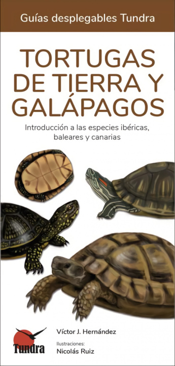 Buch TORTUGAS MARINAS VICTOR J. HERNANDEZ