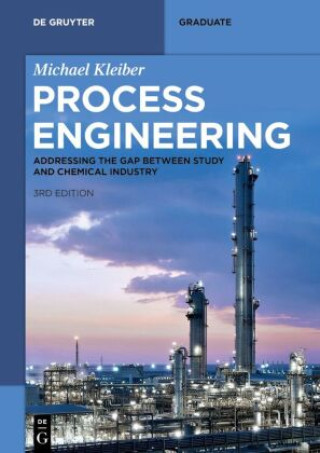 Könyv Process Engineering Michael Kleiber