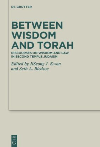 Kniha Between Wisdom and Torah JiSeong James Kwon