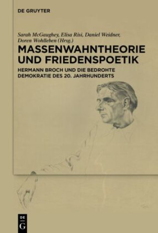 Kniha Massenwahntheorie und Friedenspoetik Sarah McGaughey