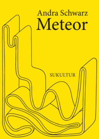 Kniha Meteor Andra Schwarz