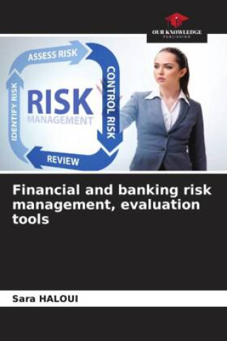 Kniha Financial and banking risk management, evaluation tools 