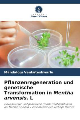Carte Pflanzenregeneration und genetische Transformation in Mentha arvensis. L 