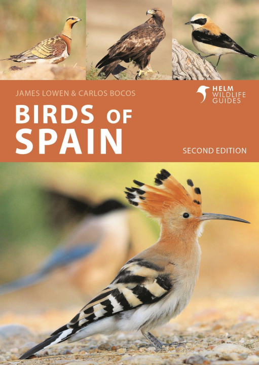 Kniha Birds of Spain James Lowen