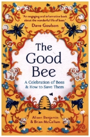 Βιβλίο Good Bee Alison Benjamin