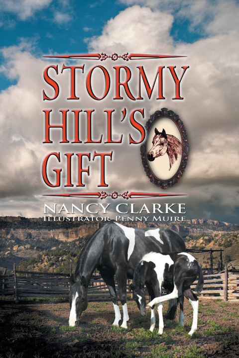 Knjiga Stormy Hill's Gift Nancy Clarke